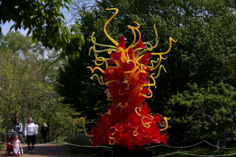 Glass artist Chihuly will bring ‘most ambitious' exhibition to Missouri Botanical Garden